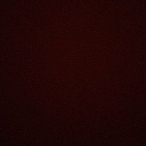 Meet your Posher, Leona